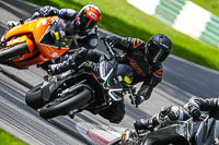 Middle Group Black Bikes
